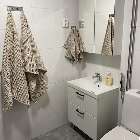 Naesijaervi Lakeview شقة *